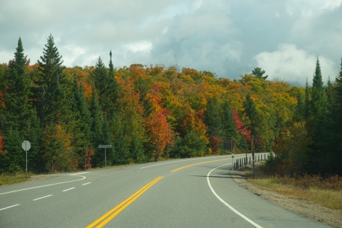 Highway 60 Algonquin Park Fall Colours